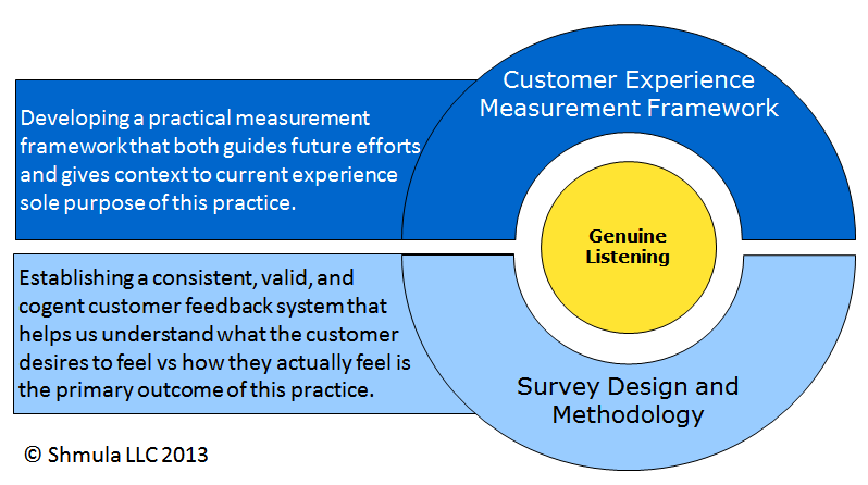 customer experience practice areas