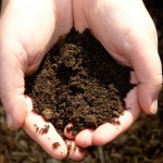 types of soil, types of dirt
