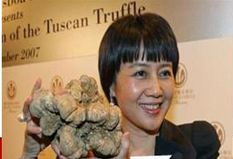 white truffles history, where to buy