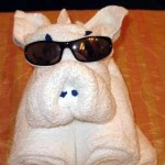 Carnival Cruise Animal Towels - Our Family's Experience and the Kano Model
