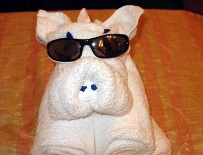 towel animals dog