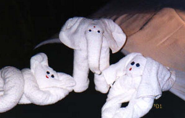 towel animals elephant
