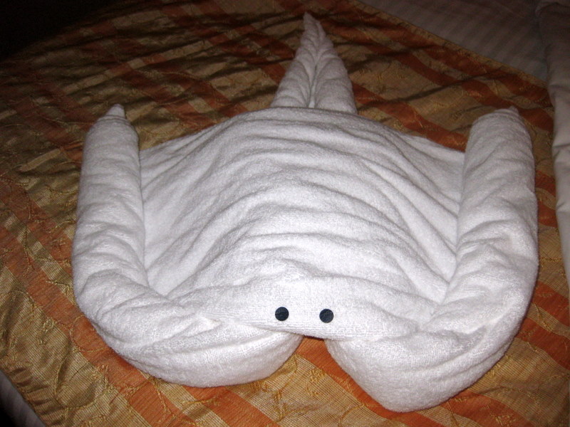 towel animals fish