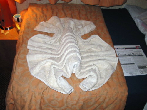towel animals lobster