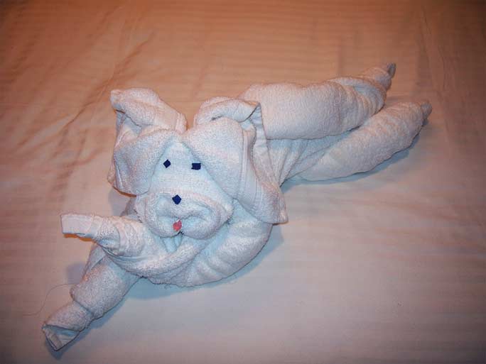 towel animals poodle