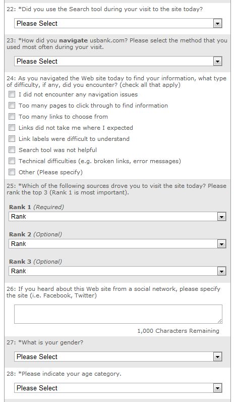 website usability survey 1