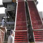 video of heinz factory tour, ketchup consumer packaged goods