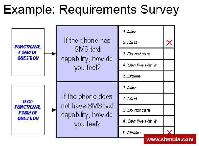 customer requirements survey, kano model