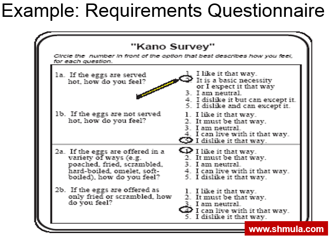 kano model requirements questionnaire