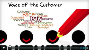 six sigma voice of the customer